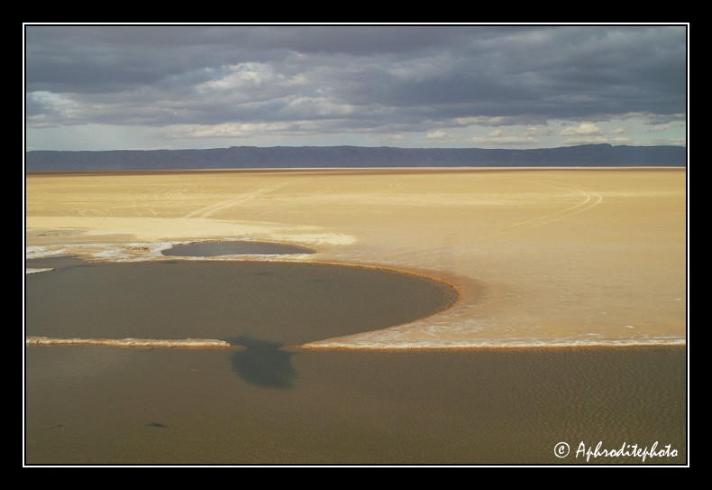 174 Le Chott El Jerid, un immense lac dans une mer de sable